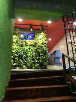 Verbena Brewpub & Skygarden