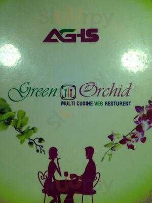 Green Orchid