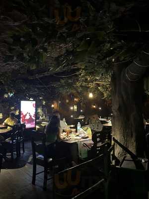 Rainforest Restobar