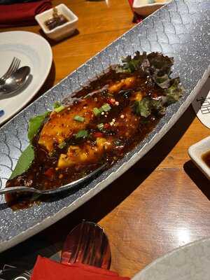 Foo Phoenix Palladium