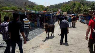 Elephanta Port Restaurant And Bar