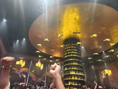 Dragonfly Experience