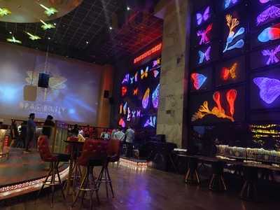 Dragonfly Experience