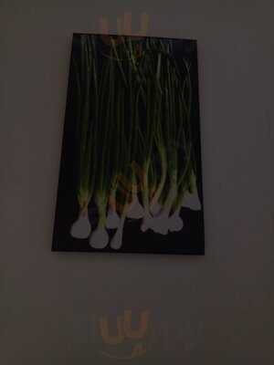 Spring Onion