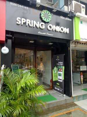 Spring Onion