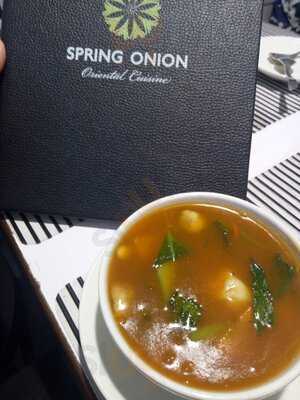 Spring Onion