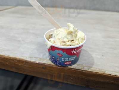Havemore Icecream