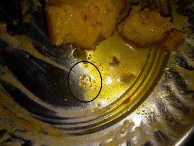 Shree Gangour Sweets