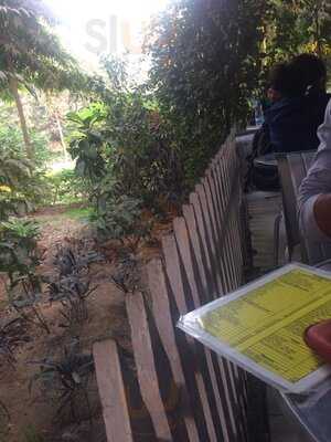 Passion - My Cup Of Tea