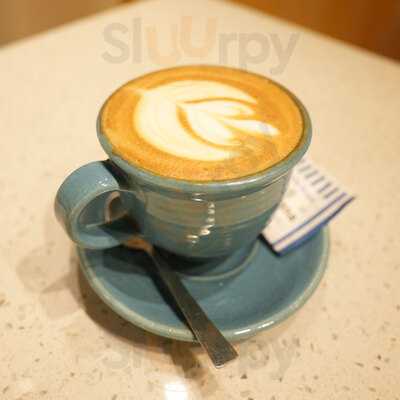 Blue Tokai Coffee
