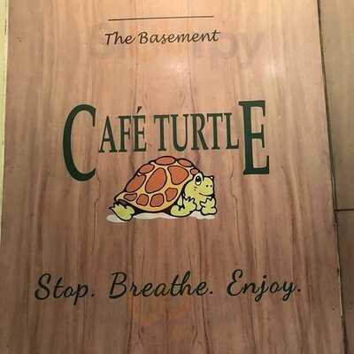 Cafe Turtle