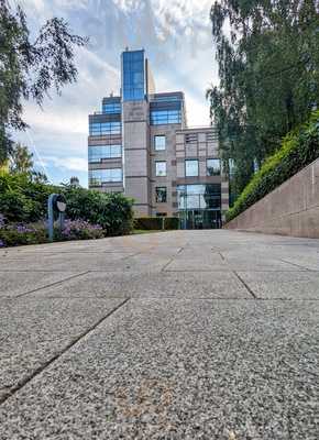 Dublin The Irish Bar