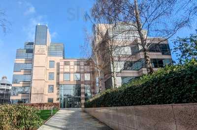 Dublin The Irish Bar