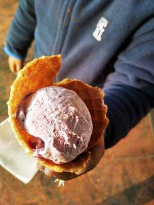 Gelato Vinto Outlets