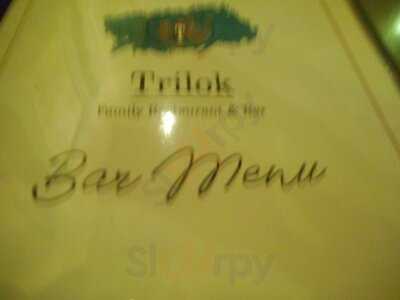 Modern Trilok Restaurant & Bar