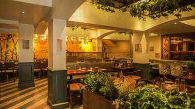 Modern's China Kitchen