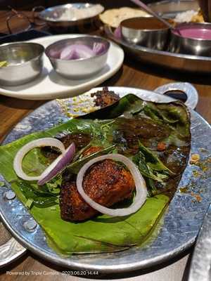 Bharat Boarding Fish Land