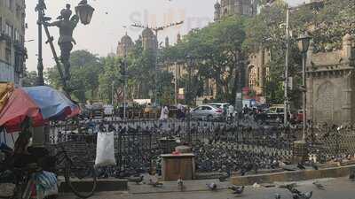 Special Anand Bhuvan