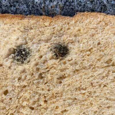 Hangout Cakes & More