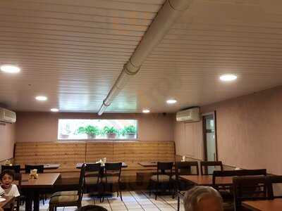 Shree Krishna Chaaya