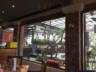 Urban Tadka / Pop Tates