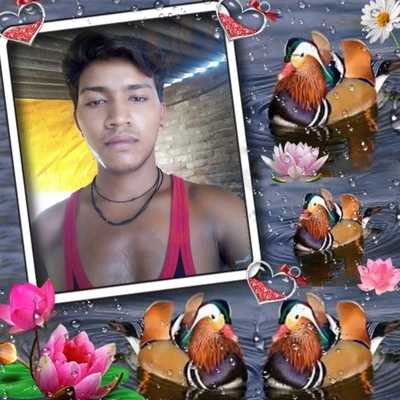 Taste Of India Foods