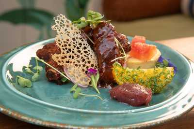 Invincible Boudior And Jardin