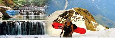 Taxi - World Food Cafe