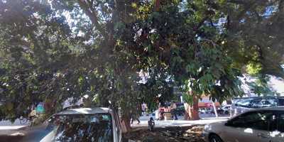 Kalol : Bar ते Kitchen