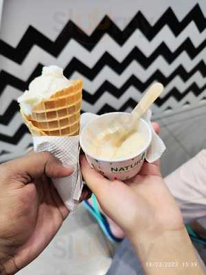 Creamica Ice Cream