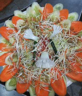 Shri Krishna Fast Food Centre