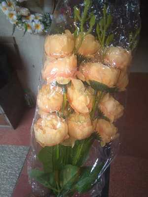 New Patel Restaurant