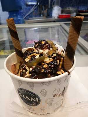 Giani Ice Cream Dwarka Sector 7