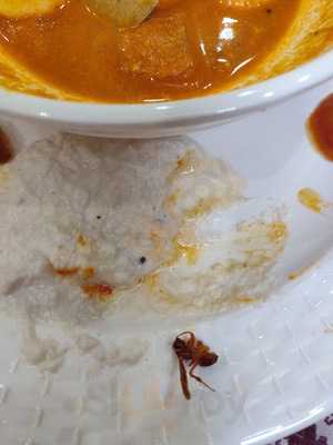 Btw (bittoo Tikki Wala)