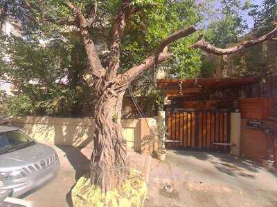 Sonjuhi's Baking Acadmey