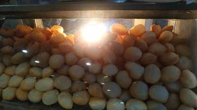 Bansiwala Sweets Corner