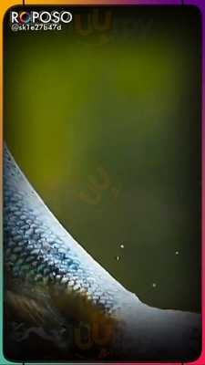 Hotel Lata Vihar Restaurant