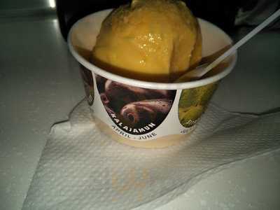 Tender Fresh Ice Creams