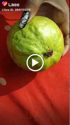 Saijyot Restaurant & Bar