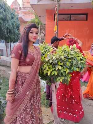 Pappu Brijwasi Dhaba