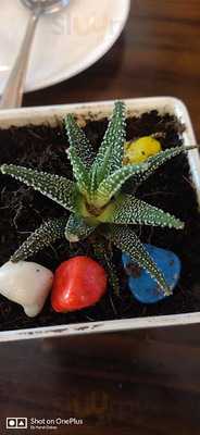 Shree Amber Bar And Restaurant