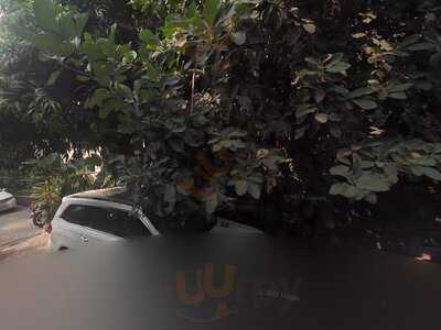 Pk's Chicken On The Run