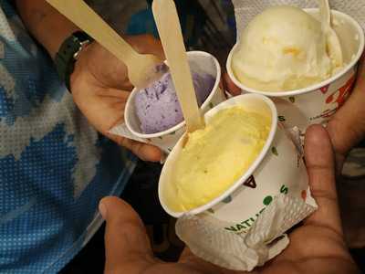 Krishnas Natural Handmade Ice Cream