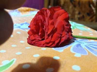 Raj Deep Family Restaurant & Bar