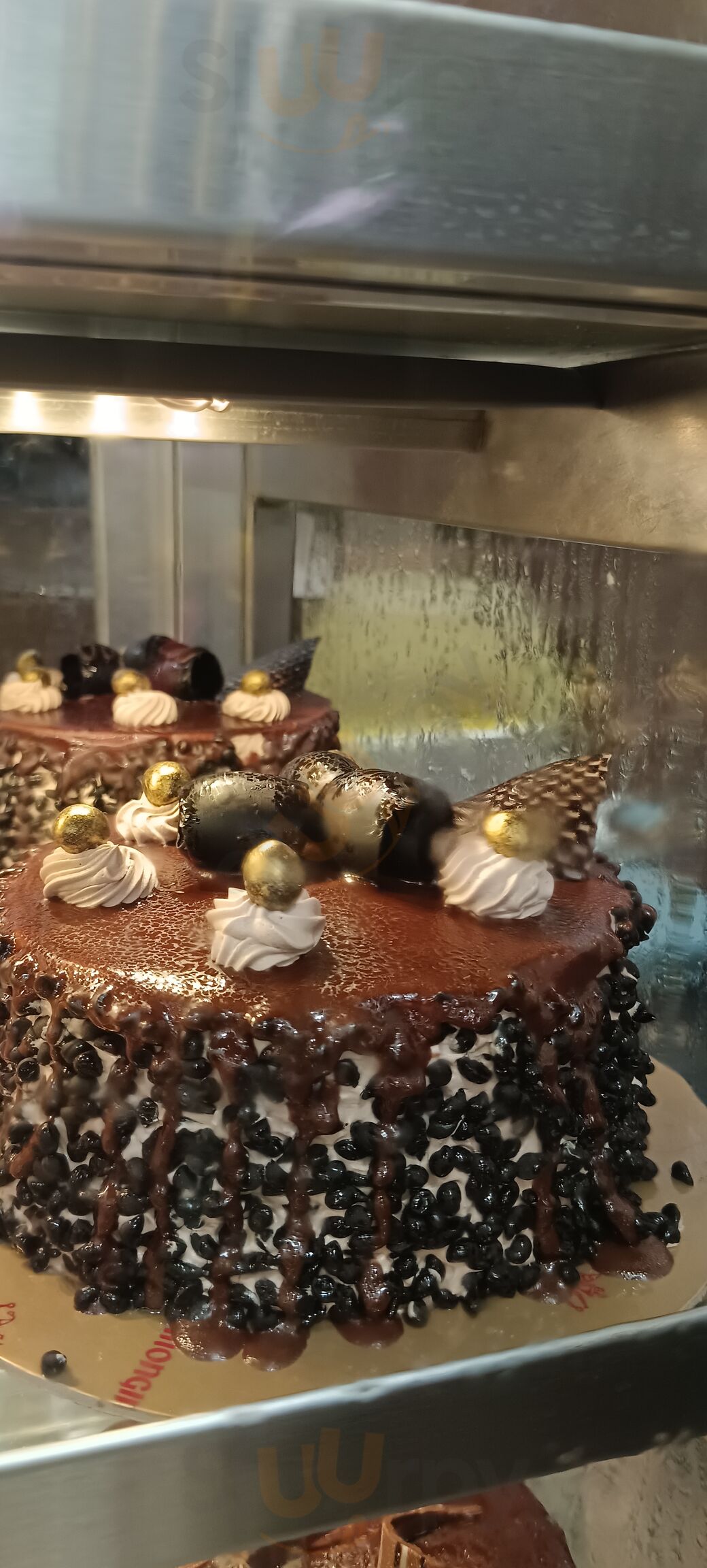 Monginis Cake Shop - Price & Reviews | Wedding Cake in Surat