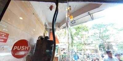 French Connection Cake Shop