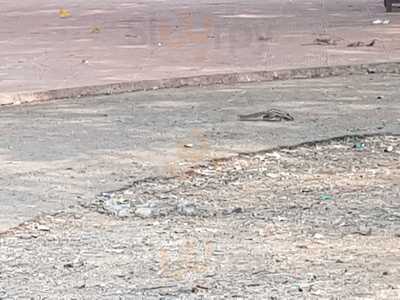 Hotel Prabha Restaurant