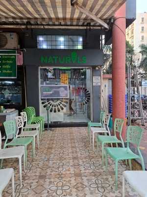 Minus Zero Degree Ice Creams