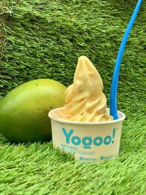 Yogoo! Natural Frozen Yogurt