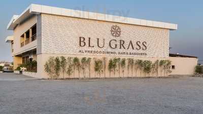 Blu Grass